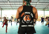 Tiger Muay Thai and MMA Review